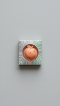 Example product (8897035927749)