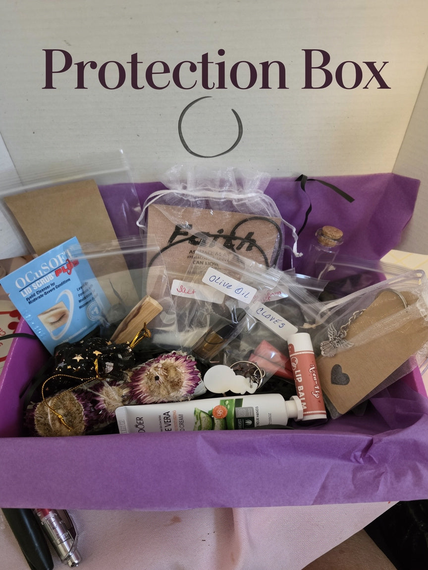 Protection Box (8625302831301)